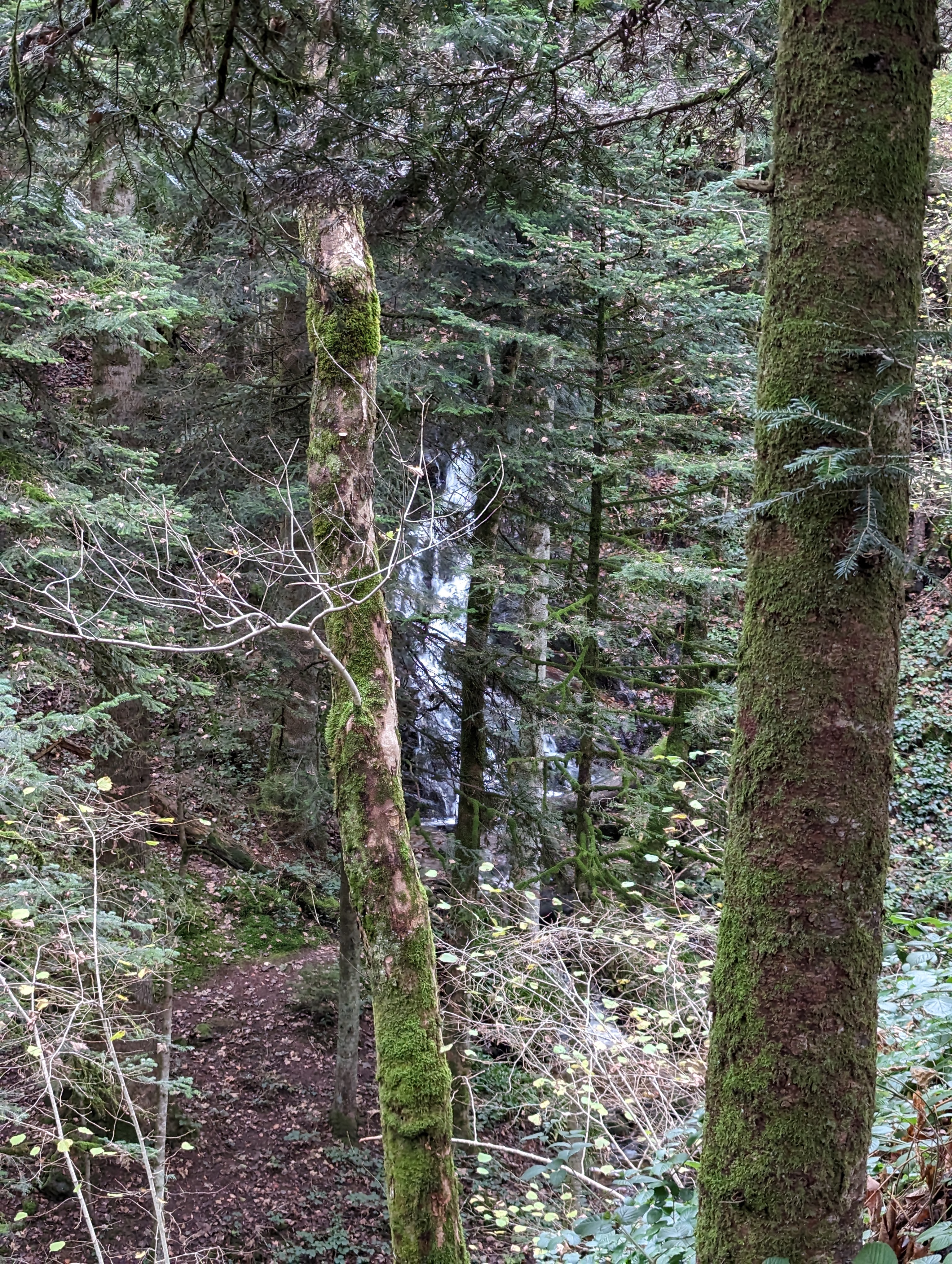 Photo n° 5 de l'avis de Kyukon.h fait le 10/11/2022 à 19:23