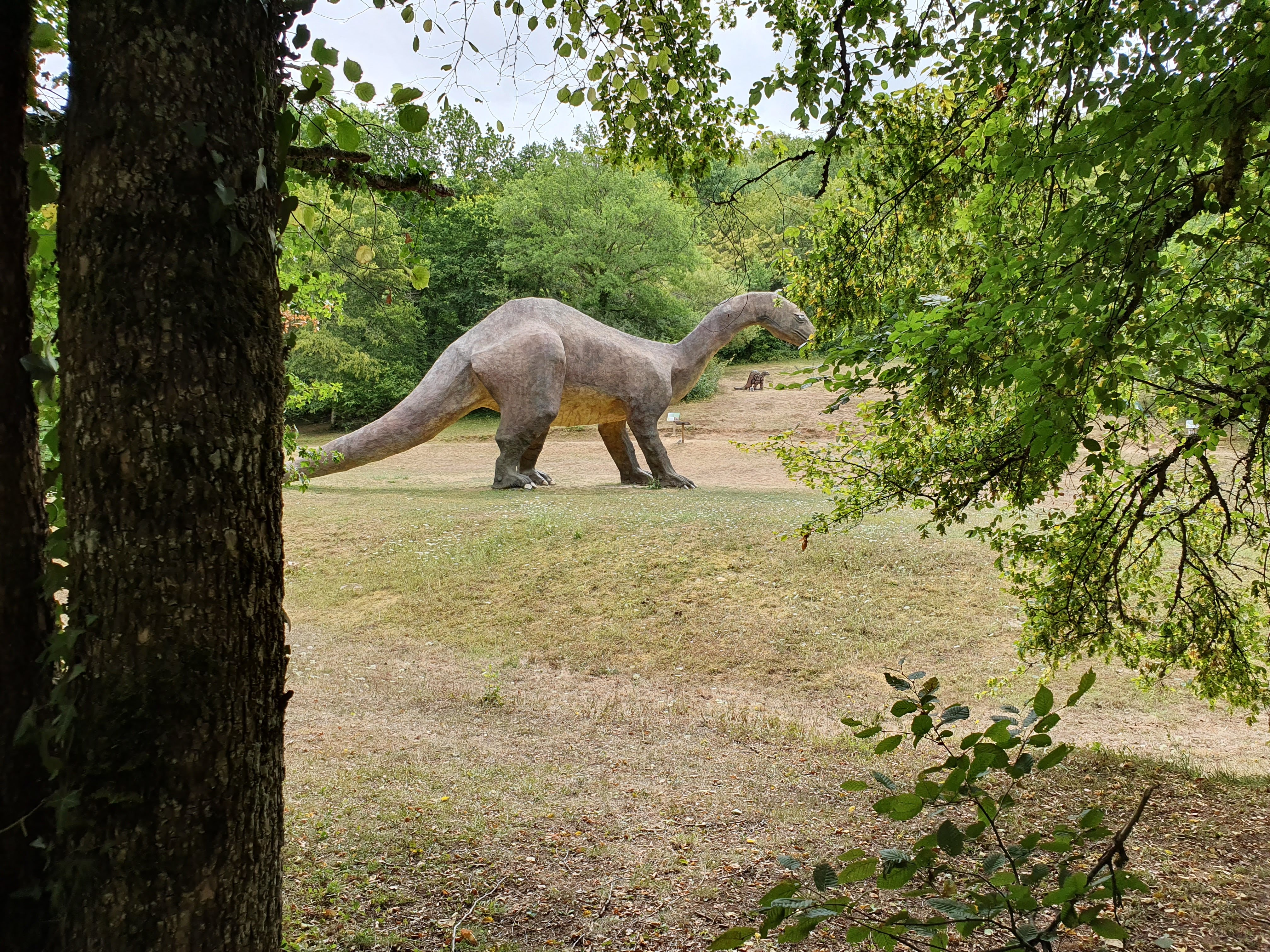 Photo n° 5 de l'avis de Thea.u fait le 01/08/2019 à 22:01