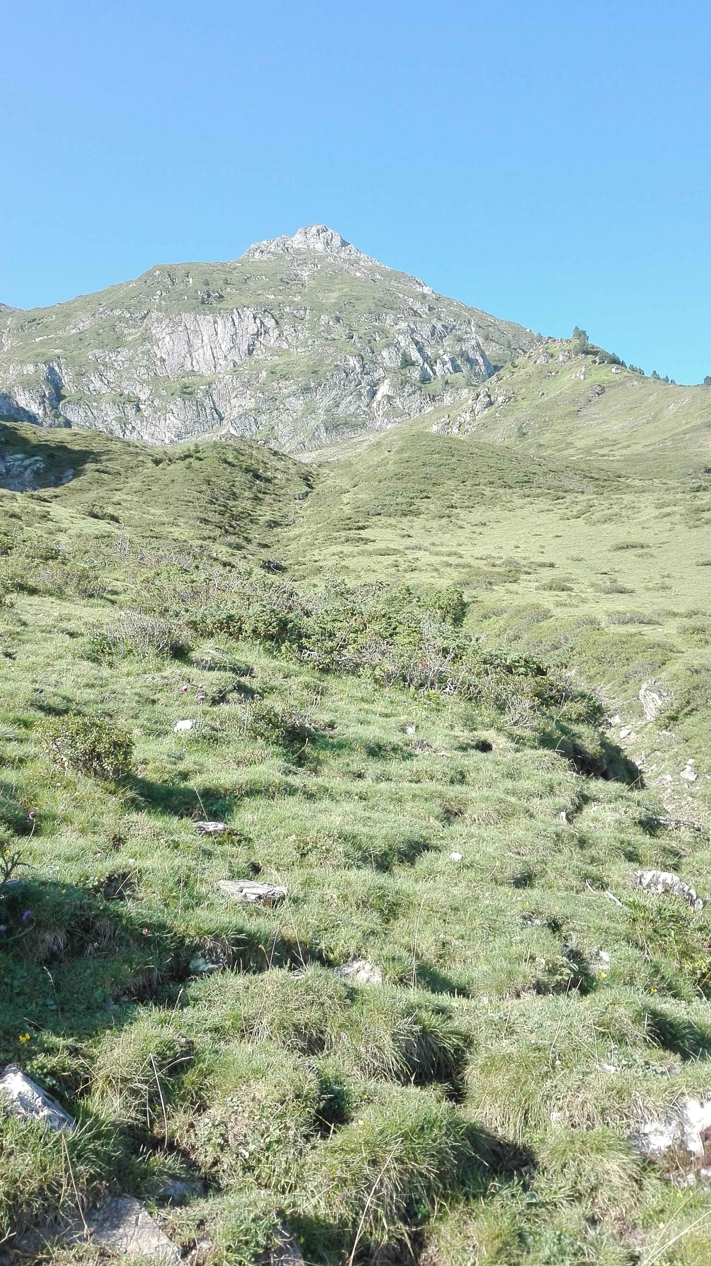 Photo n° 8 de l'avis de LOUIT.O fait le 11/08/2018 à 12:28
