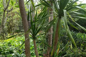 Taman Pakis Flora Indah image
