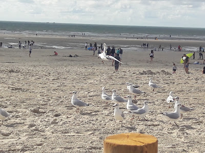 Association Fort Mahonnaise à Fort-Mahon-Plage