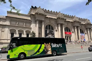 Wolf's Bus Lines, Inc. image