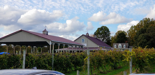 Vineyard «Romano Vineyard & Winery», reviews and photos, 15715 Bald Eagle School Rd, Brandywine, MD 20613, USA