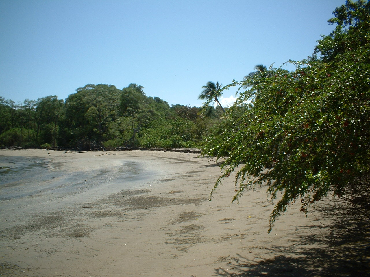 Playlita Las Marinas photo #7