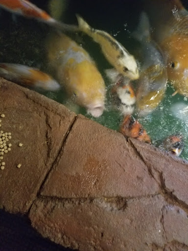 Explore tattoo designs for sailors leg tattoo ideas, creative tattoo ideas in Minneapolis, available at Leviticus Tattoo and Body Piercing