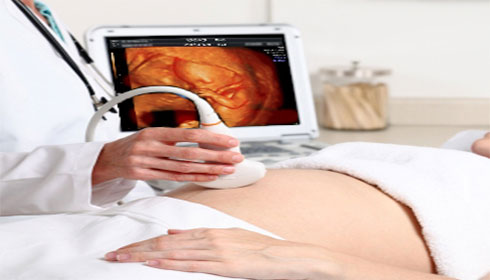 Sterility & Fertility Prof.Dr.Rocco Musitano