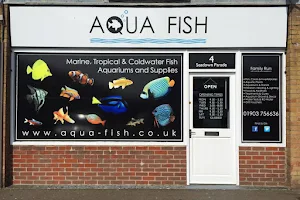 Aqua Fish image