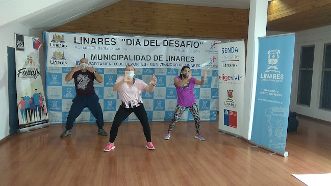 Gimnasio Ignacio Carrera Pinto - Gimnasio