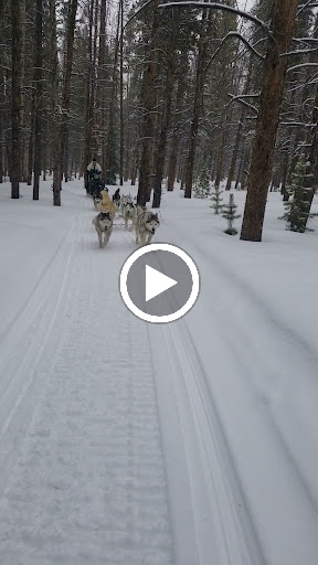 Nature Preserve «Alpine Adventures Inc», reviews and photos, 21767 US-24, Leadville, CO 80461, USA