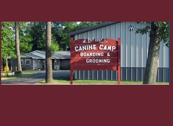 CANINE CAMP
