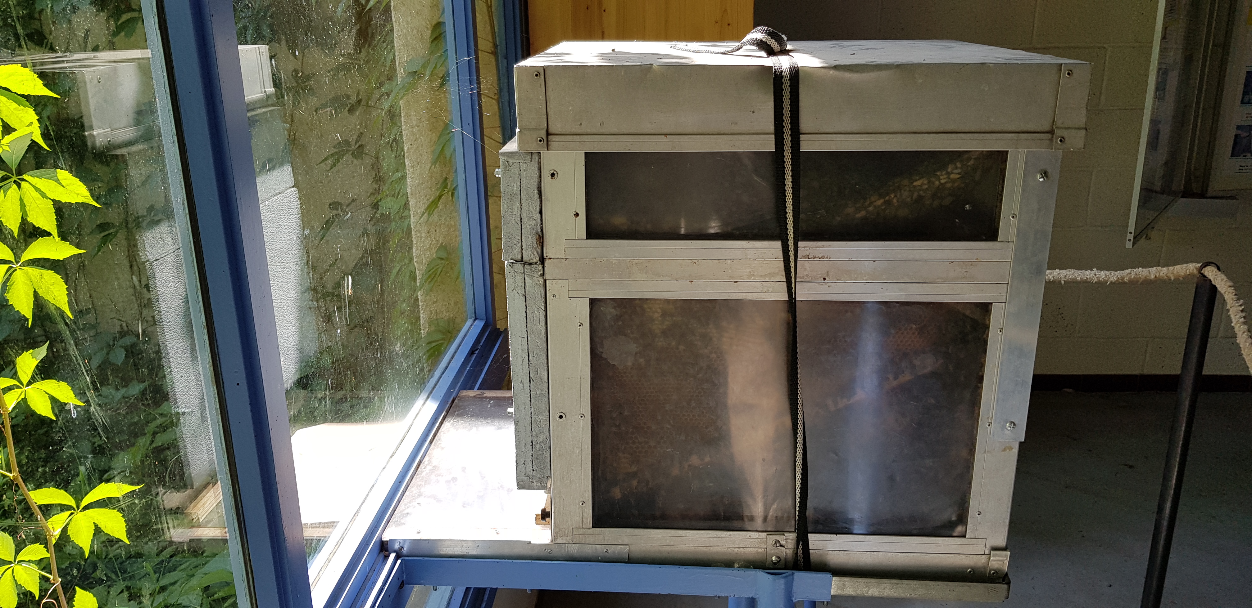 Photo n° 1 de l'avis de Alain.n fait le 31/07/2019 à 16:02