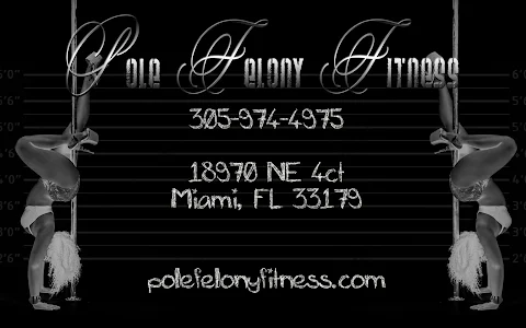 Pole Felony Fitness image