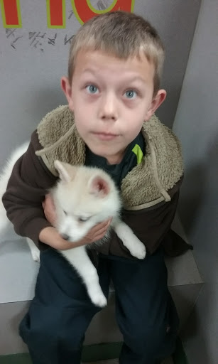 Pet Store «Petland», reviews and photos, 977 E State St, Athens, OH 45701, USA