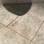 Photo n°3 de l'avis de Anonym. fait le 15/09/2021 à 18:45 sur le  1994 Eatery Asian Cuisine à Schwetzingen