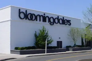 Bloomingdale's image