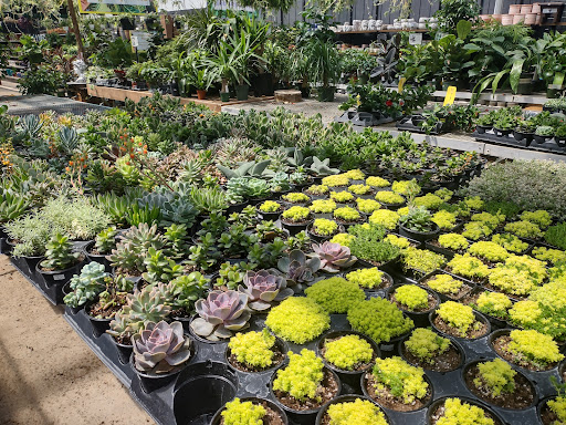 Greenhouse «Rose Floral & Greenhouse», reviews and photos, 14298 60th St N, Stillwater, MN 55082, USA