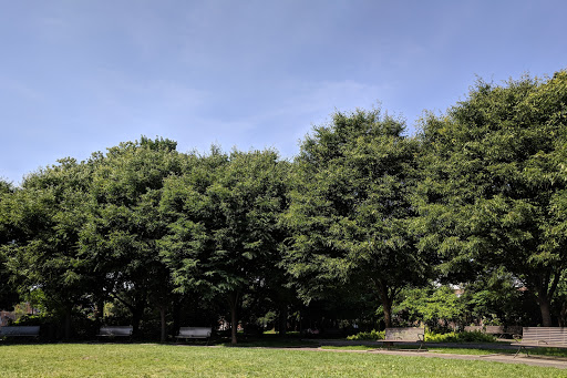 Park «Elmhurst Park», reviews and photos, 57th Ave & Grand avenue, Queens, NY 11373, USA