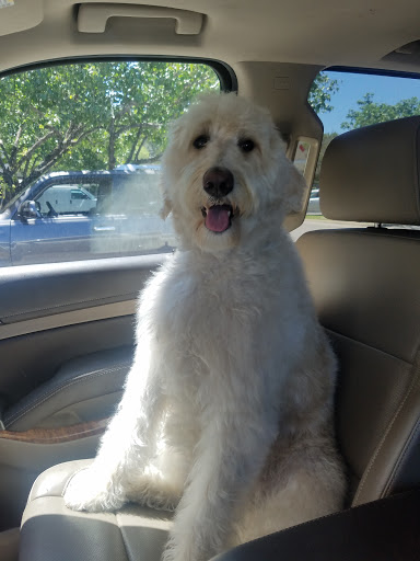 Pet Supply Store «Petco Animal Supplies», reviews and photos, 3201 Bee Cave Rd #117, Austin, TX 78746, USA