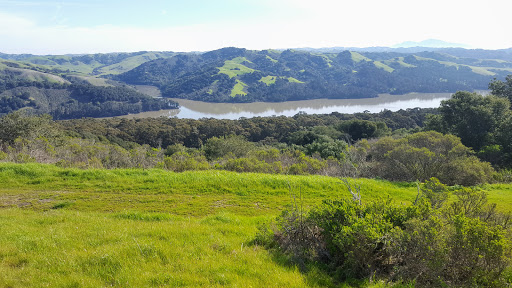 Park «Tilden Regional Park», reviews and photos, 2501 Grizzly Peak Boulevard, Orinda, CA 94563, USA