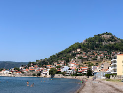 Photo de Gribovo lepanto et le règlement
