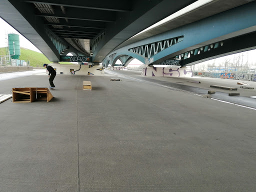 KingPin's Skaterpark (Under the Bridge)