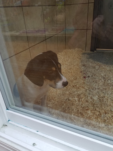 Pet Store «Pets Plus», reviews and photos, 4450 E Black Horse Pike, Mays Landing, NJ 08330, USA