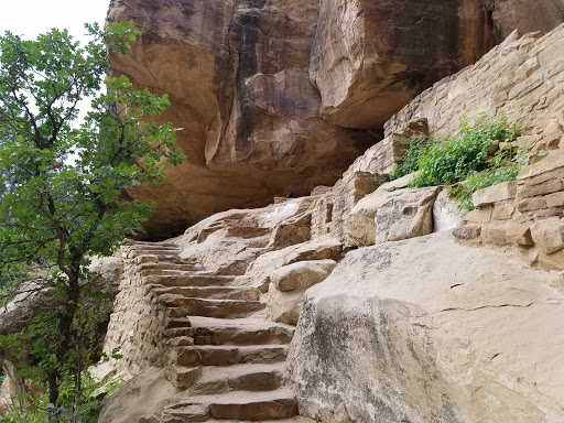Archaeological Site «Cliff Palace», reviews and photos