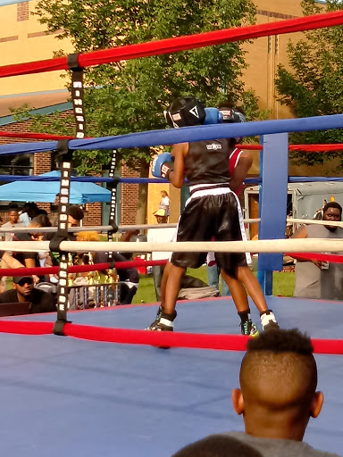 Park «Phelps Field Park», reviews and photos, 701 E 39th St, Minneapolis, MN 55407, USA