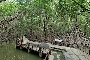 Mangrove Park image