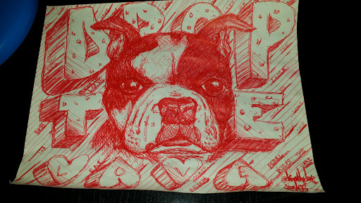 Tobacco Shop «High Tide Tobacco & Gifts», reviews and photos, 3633 W Kennedy Blvd, Tampa, FL 33609, USA