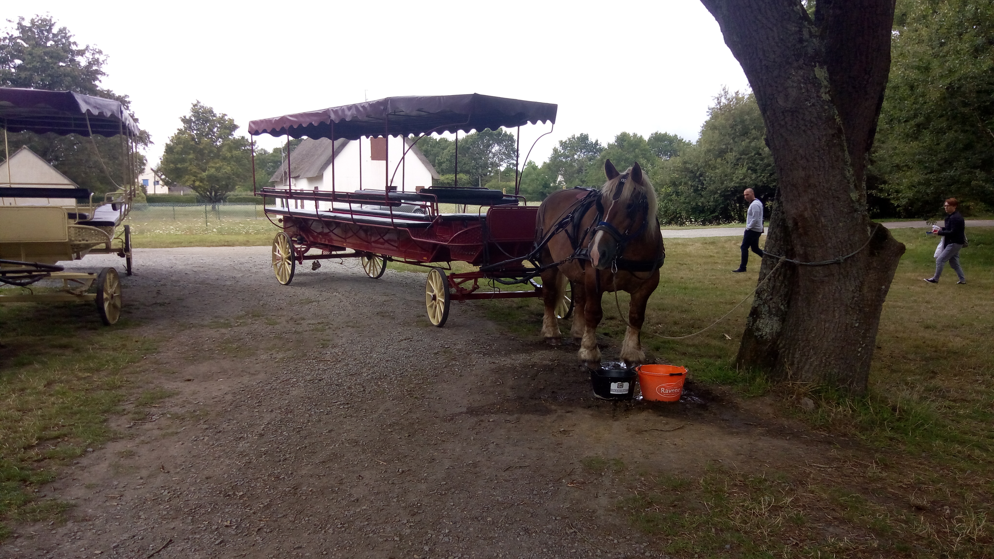 Photo n° 1 de l'avis de Jonathan.e fait le 15/08/2019 à 15:04