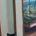 Photo n°2 de l'avis de Donatella.e fait le 22/04/2023 à 10:16 sur le  Bar Caffè La Fortezza à Montalcino