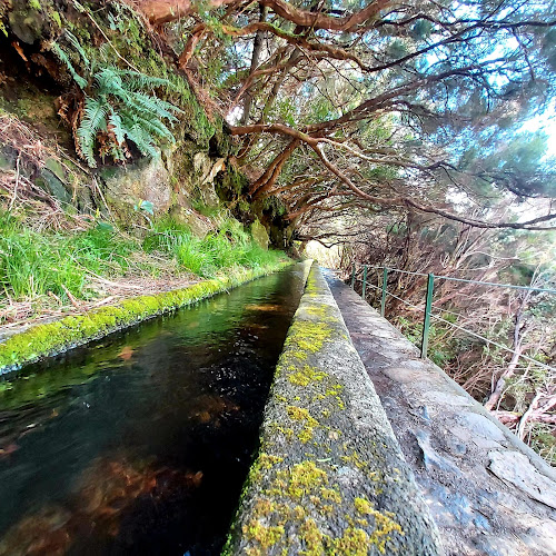 Avaliações doMadeira Free Spirit Walks em Funchal - Agência de viagens