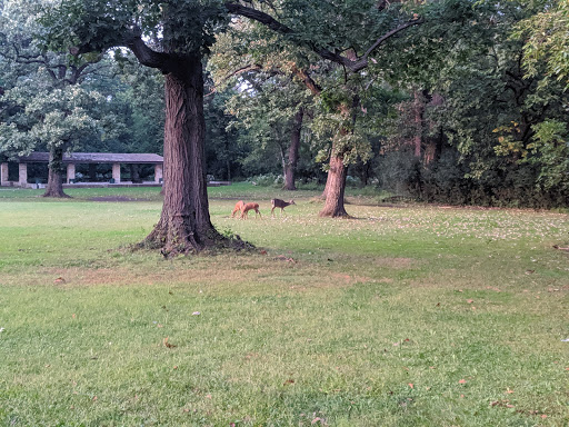 State Park «Brezina Woods», reviews and photos, N La Grange Rd, La Grange Park, IL 60526, USA