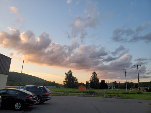 Discount Store «Dollar General», reviews and photos, 1140 Owego Rd, Candor, NY 13743, USA