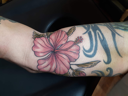 Tattoo Shop «Twisted Heart Tattoo», reviews and photos, 936 N Federal Hwy, Hollywood, FL 33020, USA