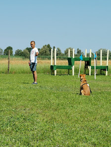 Dog's school Casalmoro Via S. Faustino, 37a, 46040 Casalmoro MN, Italia