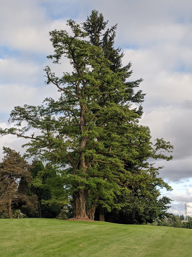 Golf Course «Allenmore Golf Course», reviews and photos, 2013 S Cedar St, Tacoma, WA 98405, USA