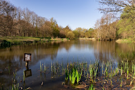 Brookwood Country Park