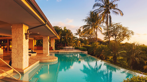 Palm Paradise Real Estate image 10