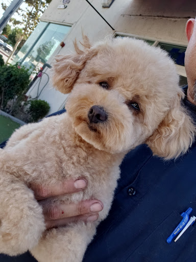 Pet Store «Happy Pet», reviews and photos, 701 E Valley Blvd, San Gabriel, CA 91776, USA