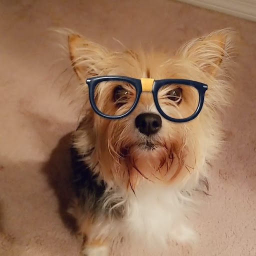 Pet Supply Store «Park Feed Store & Pet Supply», reviews and photos, 5775 Park Blvd N, Pinellas Park, FL 33781, USA