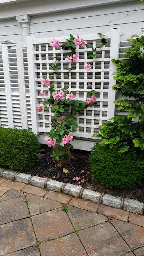 Golf Club «Montclair Golf Club.», reviews and photos, 25 Prospect Ave, West Orange, NJ 07052, USA