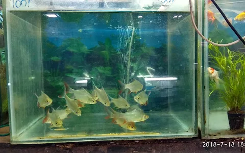 Darya Raja Aquarium image