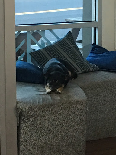 Mobile Phone Repair Shop «Bridgetown Electronics Repair», reviews and photos, 5020 SE Division St, Portland, OR 97206, USA