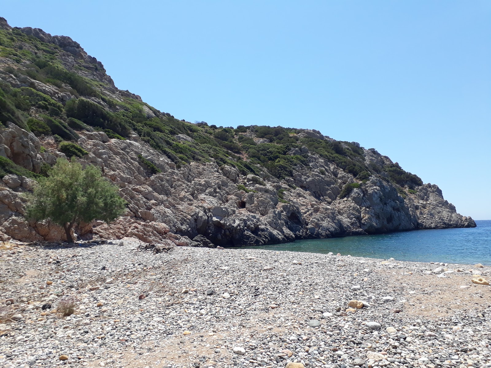 Pirgousiki Avlonia'in fotoğrafı çok temiz temizlik seviyesi ile