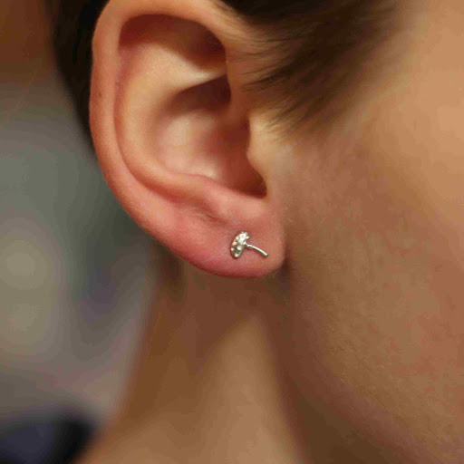 Explore tattoo ideas woman shoulder, creative tattoo ideas in Toledo, available at Piercings by Caitlin presents Holier Toledo