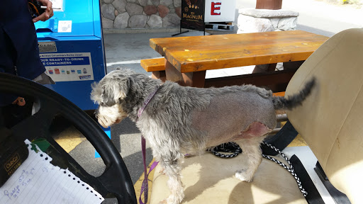 Merritt Veterinary Hospital image