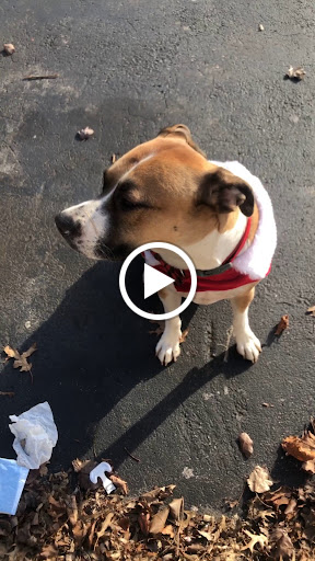 Pet Supply Store «Petco Animal Supplies», reviews and photos, 169 Parkingway, Quincy, MA 02169, USA