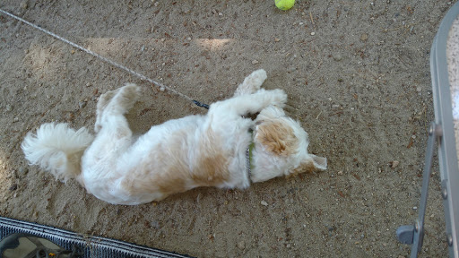 Campground «Bay View Campground», reviews and photos, 260 MacArthur Blvd, Bourne, MA 02532, USA